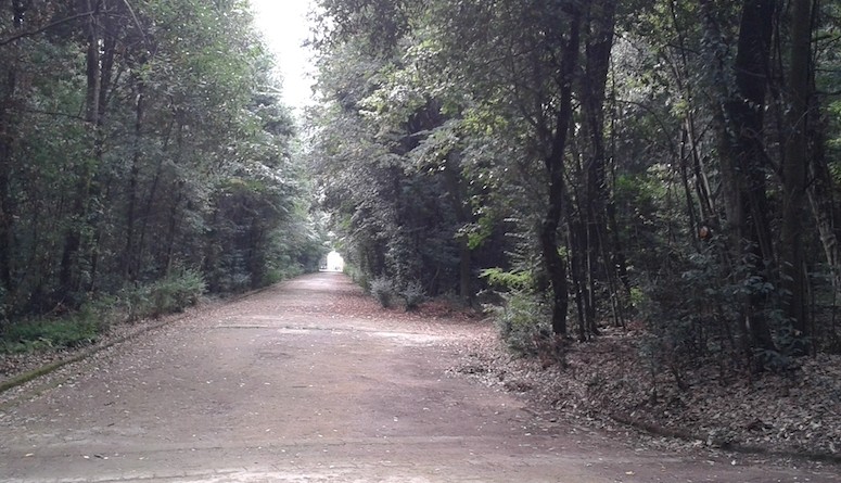 Bosco di Capodimonte