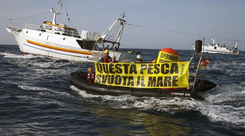 Greenpeace activists hold a banner reading in Italian "This
Fishery Empties The Sea" in front of the 'Santo Padre' and 'Ardito' pair trawlers. The action is to denounce unsustainable fishing in the Mediterranean, in the Strait of Messina.
Greenpeace is on a European tour to support and promote sustainable fishing as a vital part in the current reform of the European Common Fisheries Policy.