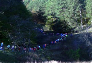 RoccarasoTrail2016_2