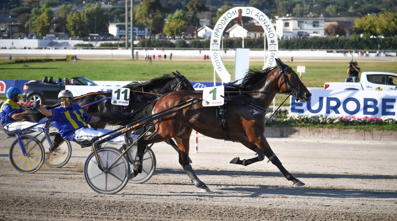 91° Derby Italiano del Trotto - Trofeo Eurobet
Giampaolo Minnucci vince con Zlatan
Scuderia Robin 
Trainer Alessandro Gocciadoro
Ippodromo di Agnano domenica 23 settembre 2018
ph©domenicosavi