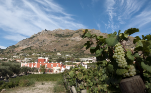 Ischia