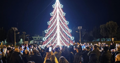 albero città