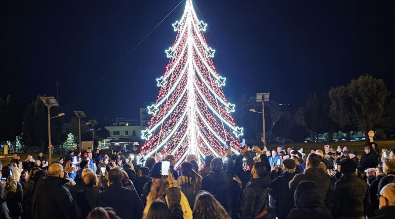 albero città